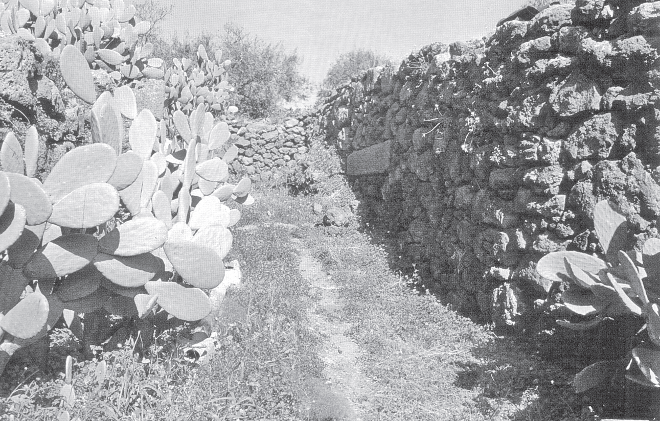 Mura città Mendolito