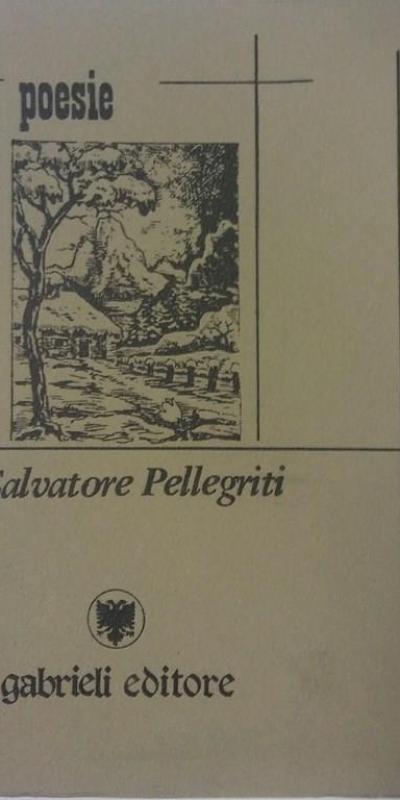 Poesie Salvatore Pellegriti